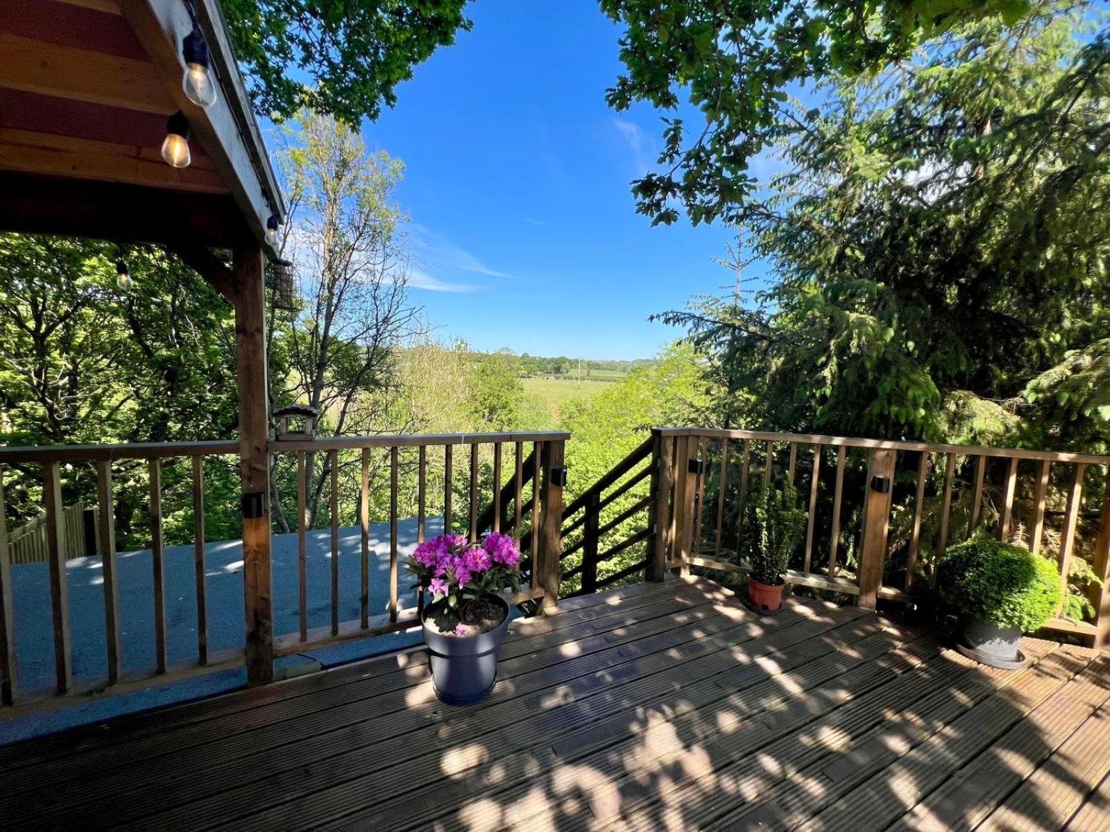The Pines Treehouse At Treetops Hideouts Richmond  Exteriér fotografie